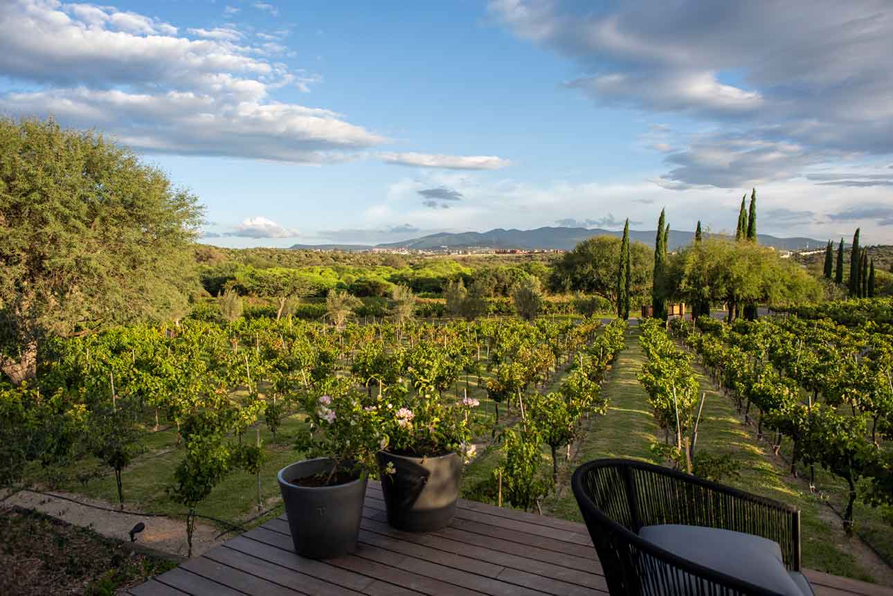 Casa de lujo en Viñedos de Los Senderos, San Miguel de Allende con arquitectura moderna y rodeada de naturaleza